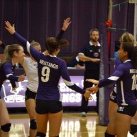 Western WVB (@stangswvb) 's Twitter Profile Photo