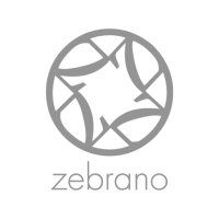 City Zebrano(@CityZebrano) 's Twitter Profile Photo