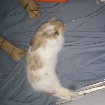 darryl_murley's profile picture. 