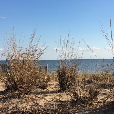 abelesuz's profile picture. 