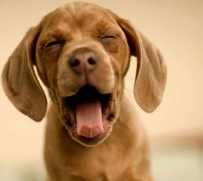 aleksandr263220's profile picture. 