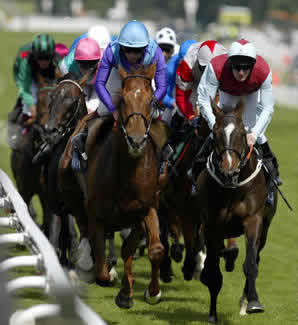 UK_HorseRacing's profile picture. Horse Racing UK - The home for fans of UK National Hunt and Flat horse racing with news, opinion and YOUR views on the latest from the world of racing.