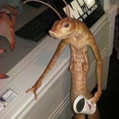 l6i9h00's profile picture. when a