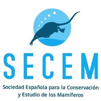 SECEM(@SECEM_) 's Twitter Profileg