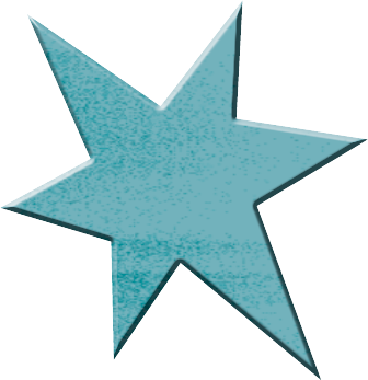 Little Star Journal