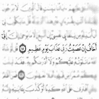 ((ليس هناك مايؤلم اكثر من إن تتمرد على ذاتك وتكسر حواجز الآمان بداخلك لتبدأ من جديد))