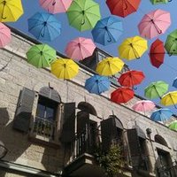 Louise Lanzkron (@louiselanzkron) 's Twitter Profile