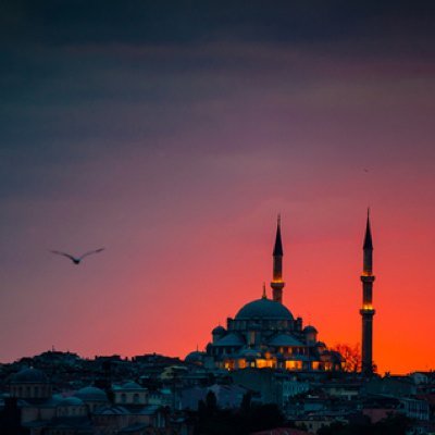 nadaanparinda9's profile picture. 