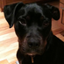 Hector Dos Equis (@hector2x) Twitter profile photo Hector Dos Equis (@hector2x) Twitter profile photo