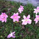 Alyssa kylie Noble - @AlyssakylieNob1 - Twitter