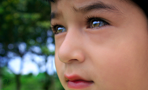 EuAprendiQue's profile picture. 