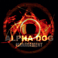 Alphadog Ent (@harvey) 's Twitter Profile