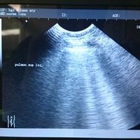 Juan Calderón (@conmari) 's Twitter Profile