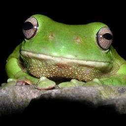 cathy_horrigan's profile picture. Science Educator