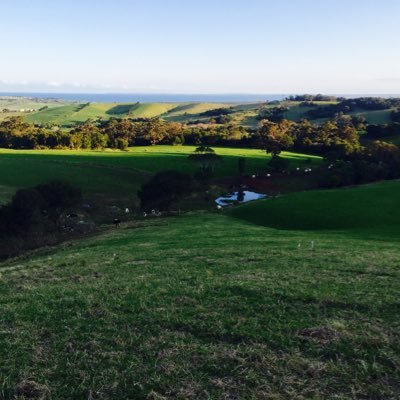 osully2534's profile picture. father of 3 cheeky girls , Carpenter, dairy farmer, Rural contractor, Property management, cattle goat breeder .