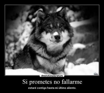 titarosale's profile picture. 