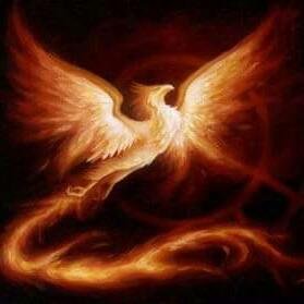 JuanGom90008009's profile picture. 