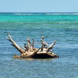 Fly_Wanderlust's profile picture. Graphic Designer ::: Art ::: Photo ::: Travel ::: Sport ::: Life ::: Health ::: Positive Vibes