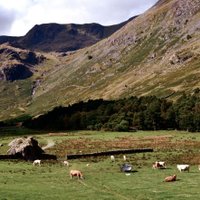 TheSmallholderHub (@smallholderhub) 's Twitter Profile