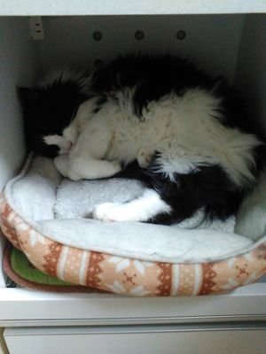 nakam8793's profile picture. 