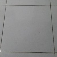 Lifestyle (@trenologi) 's Twitter Profile