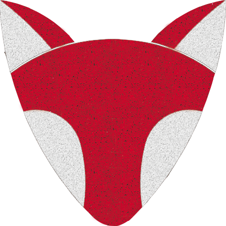 FCstugovt's profile picture. We are the student government of Fox Chapel Area High School. Run by your elected officers, we hope to provide all things FC to our followers!