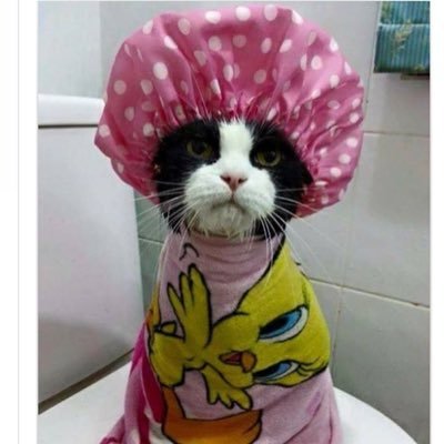 genagooch72's profile picture. 