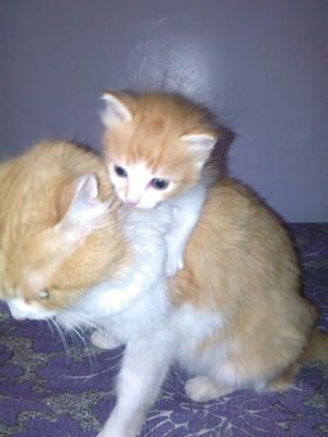 oumnia_barka's profile picture. 