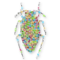 NextGenBUG (@nextgenbug) 's Twitter Profile Photo