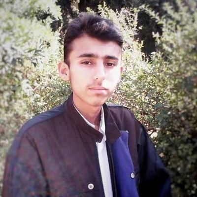 OSDevelopers123's profile picture. OS Developers