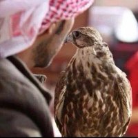 خالد المقبالي (@kalmaqbali7) Twitter profile photo