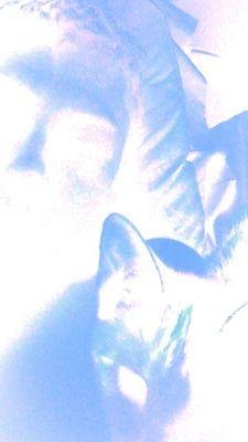 WingerMane's profile picture. Stay Healthy π New Wave