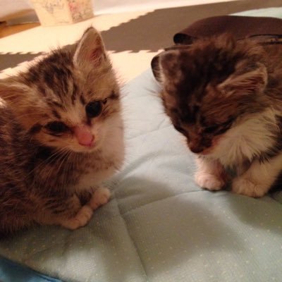 nsmrayk0703's profile picture. AAAだいすきです。そのなかでもたかうのファン！友達傷つけるやつとかまじ許さん☆ 2010.05.03〜 渡辺couple♡海斗only