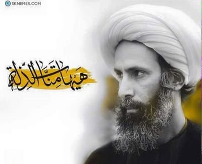 ShabeebBasij's profile picture. perokar e wilayat e faqhi
