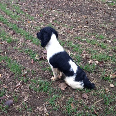 finefily's profile picture. 