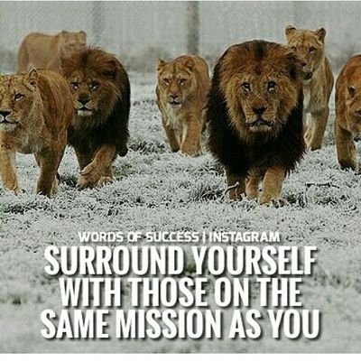 cheef_rocca's profile picture. 