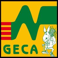 GECA(@GECA_84) 's Twitter Profile Photo