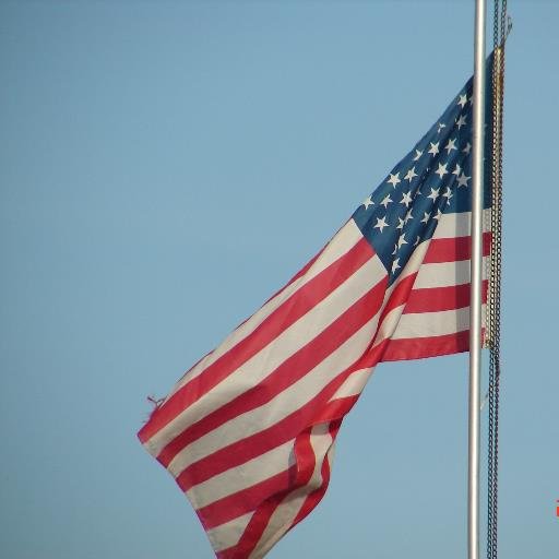 gspringer20's profile picture. 