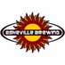 Asheville Brewing (@AshevilleBrewin) Twitter profile photo