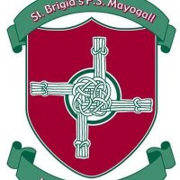 St Brigid's P.S(@StBrigids_PS) 's Twitter Profile Photo