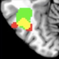 FiebachLab Frankfurt (@fiebachlab) 's Twitter Profile Photo