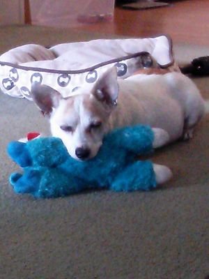 aubreysaunt09's profile picture. Just a mom keeping an eye on things! 
🇺🇸🪖