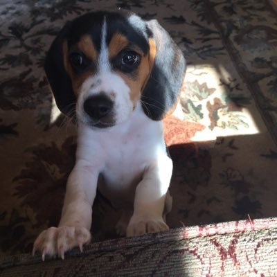 HollyHOlson's profile picture. 