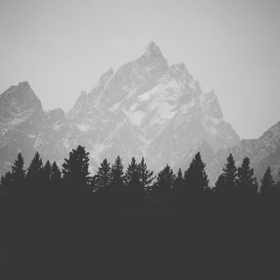 queenvibes14's profile picture. 