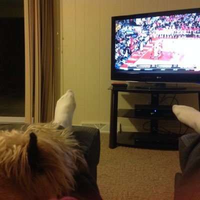 PiperMeghan's profile picture. Dog Mom to Otto 🌈. Aunt to Sam & Sadie. Bleed Orange. Love DMB and Counting Crows. Obsessive TV addict. #SPNFamily This is my personal account!