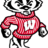 BadgersWHockey's profile image