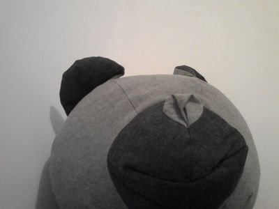 tristanrugby3's profile picture. 