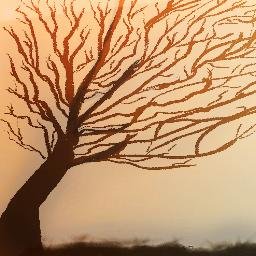 N0ti0NGRAPHY's profile picture. 