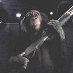 spencerstojic's profile picture. 