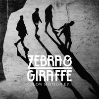 Zebra & Giraffe (@zebraandgiraffe) 's Twitter Profile